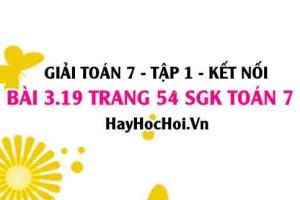 Giải bài 3.19 trang 54 Toán 7 Tập 1 SGK Kết nối tri thức: Đường thẳng song song